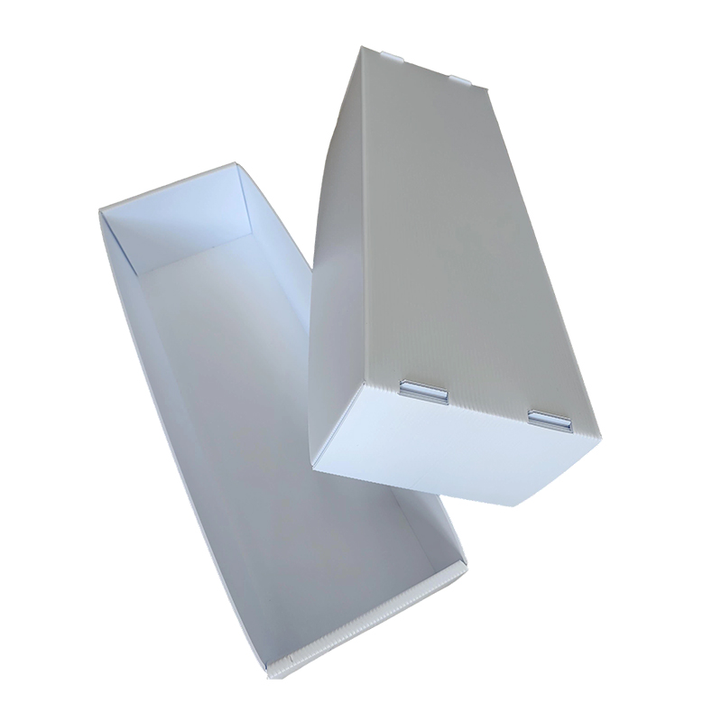 Fugtsikker stabelbar Corflute Plastic Seafood Box