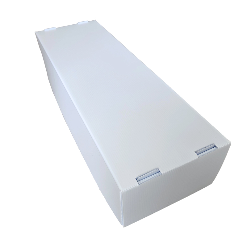 Fugtsikker stabelbar Corflute Plastic Seafood Box