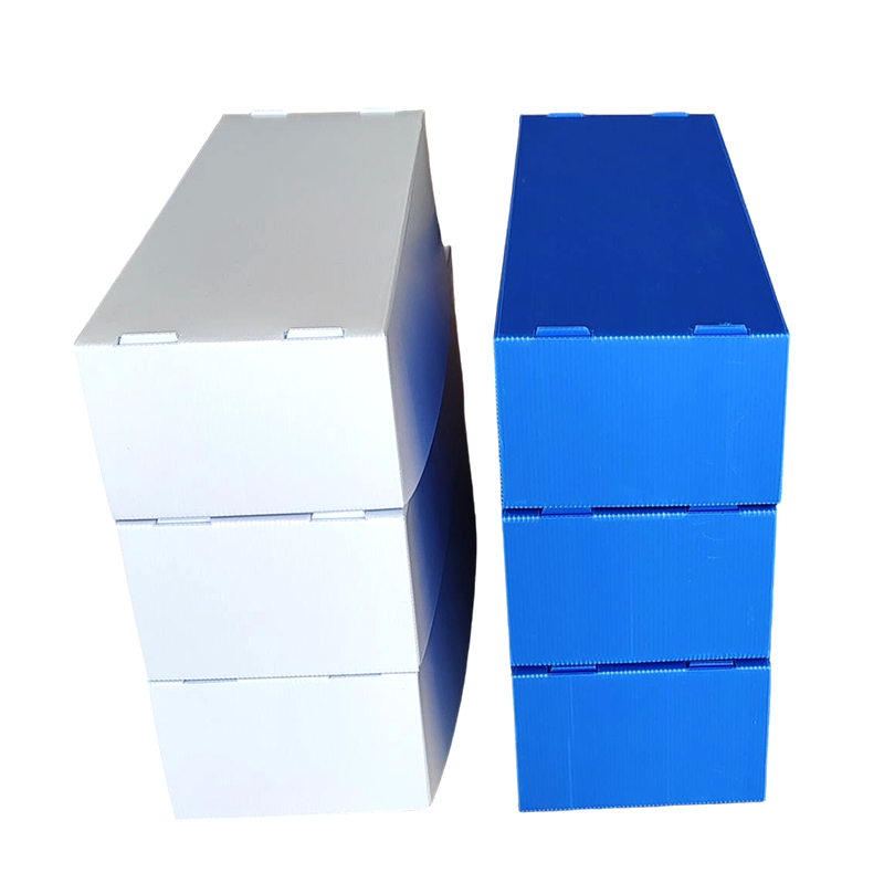 Fugtsikker stabelbar Corflute Plastic Seafood Box